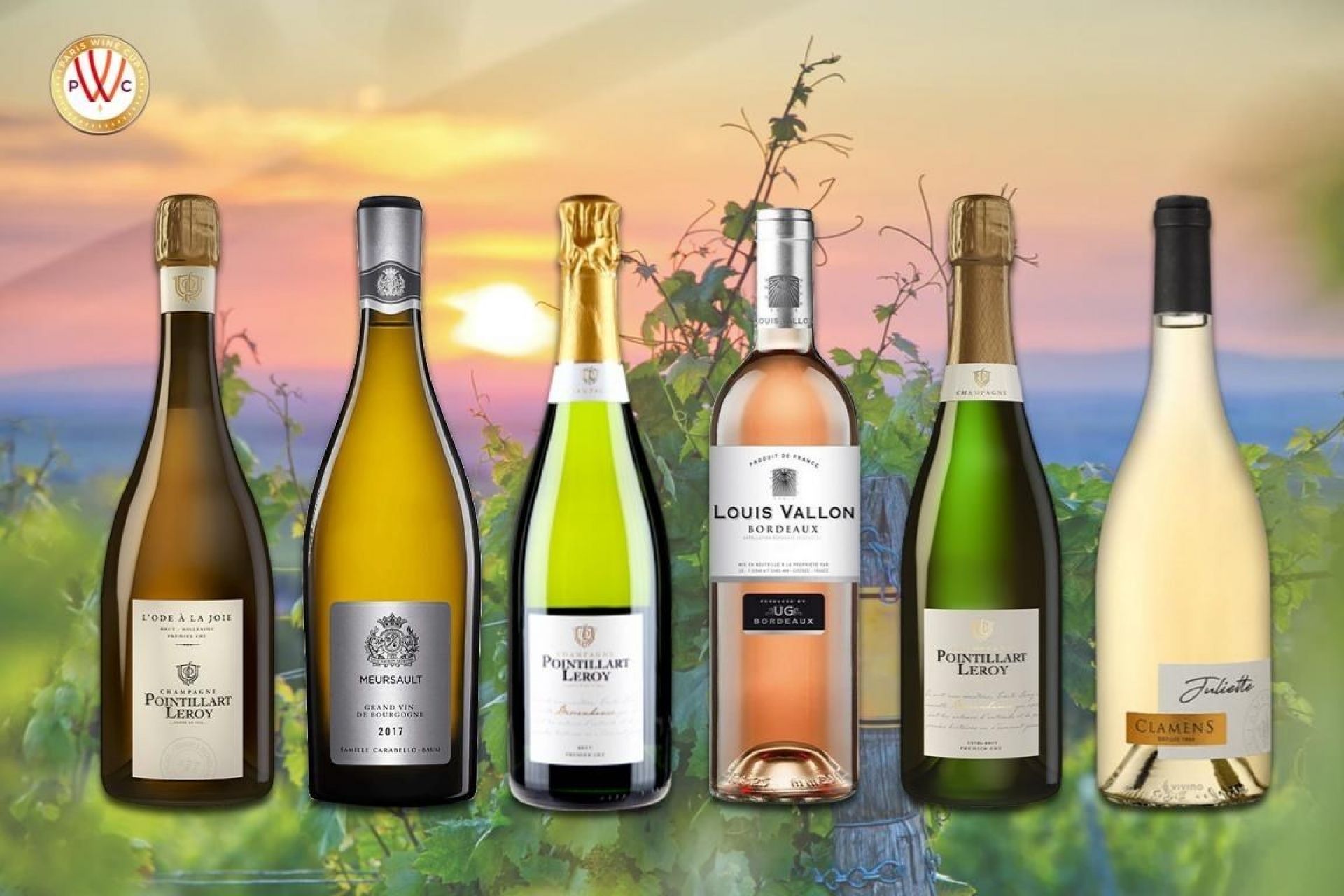 Bringing You Award-Winning French Wines To Tempt Your Taste Buds