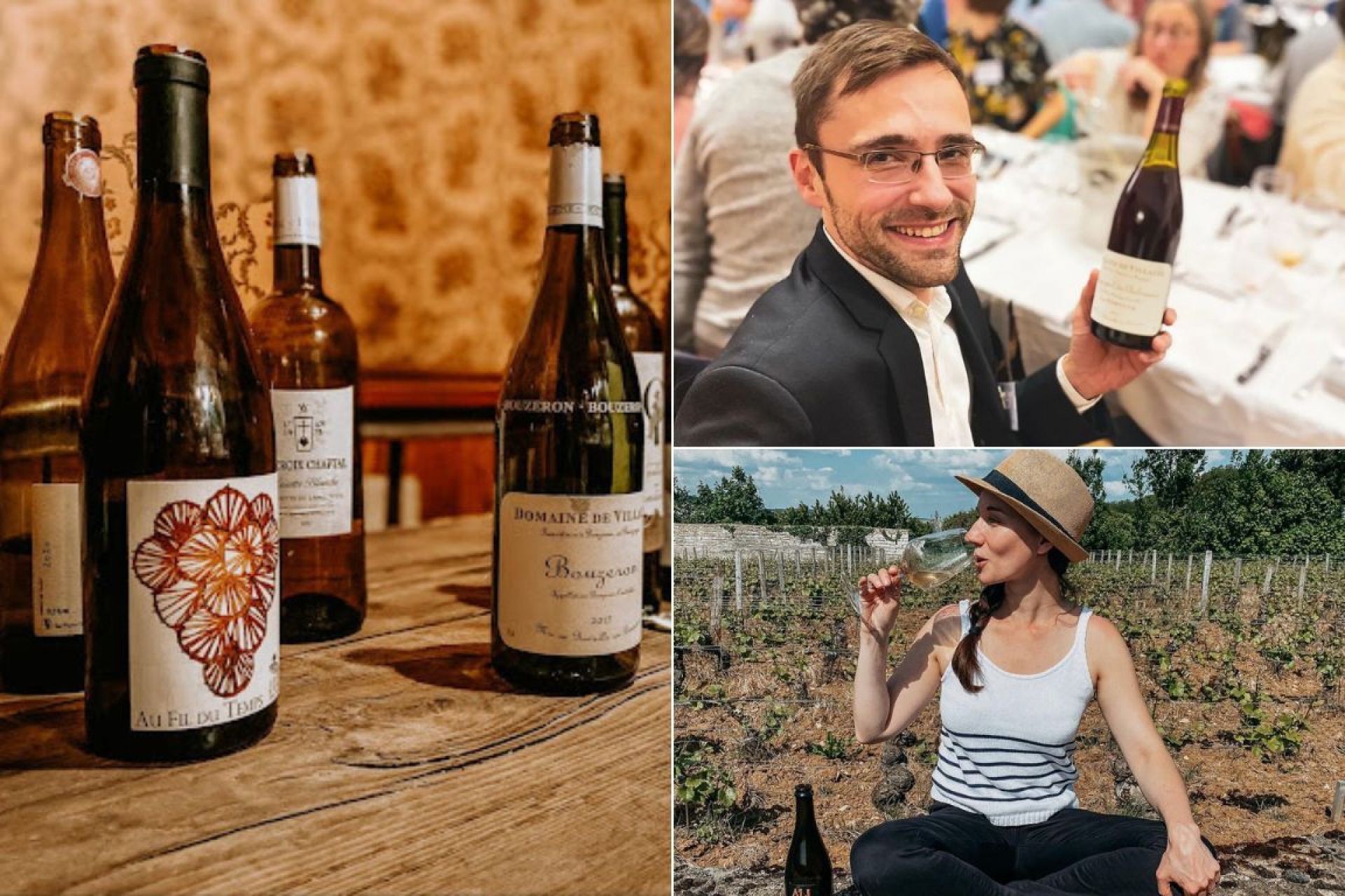 Ancient and Rare French Grape Varieties Making a Comeback