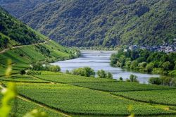 Photo for: Five underrated wine regions in Europe