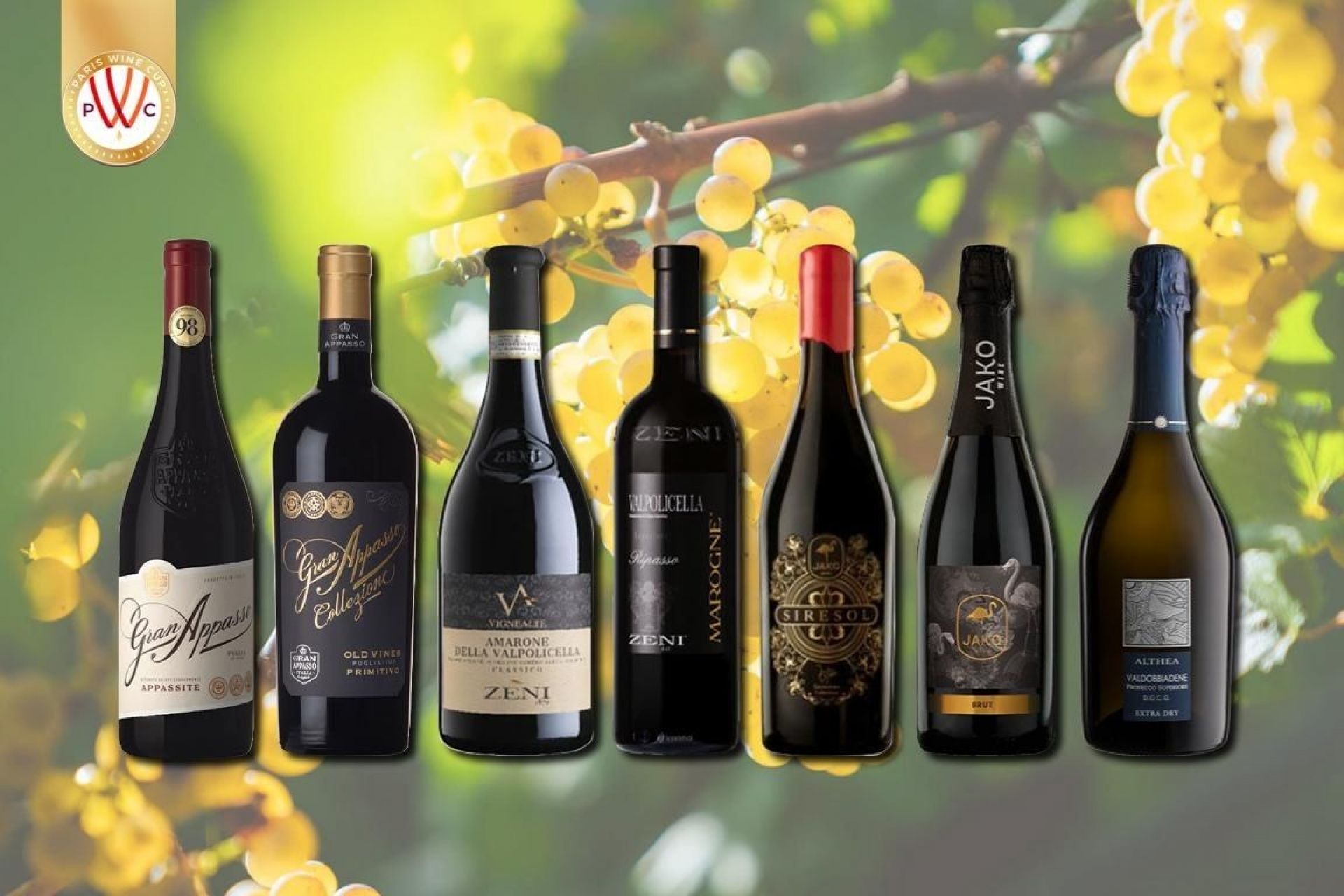Italien 'Super Toscans' Sous-marché du vin - pour un portefeuille  d'investissement dans le vin diversifié et robuste. - UKV International AG 